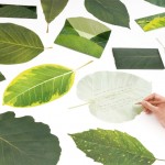 leaf letter by neo-green and eding:post.