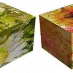 Parvez Taj’s New Spring 2012 Acrylic Cubes.