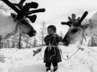 A Visual Anthropology of the World’s Last Living Nomadic Peoples.